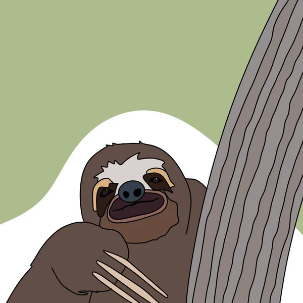 Cute Sloth Hanging Tree — Stock Photo, Image