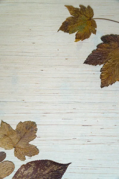 Autumn Leaves White Table Background — Stock Photo, Image