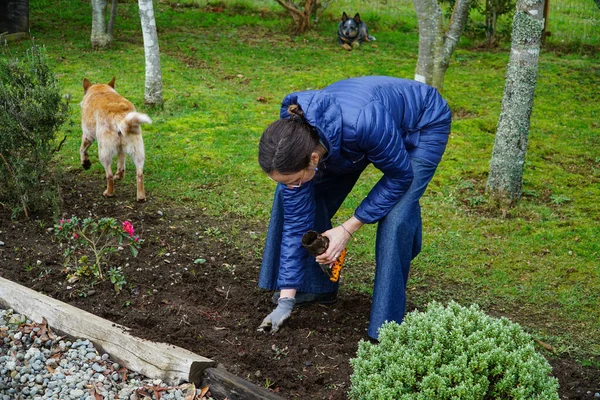 Kvinna Hukade Glatt Ner Planterade Sin Hemträdgård Njöt Lugnet Och — Stockfoto