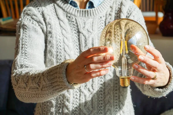 Guiding Brilliance: A woman holds a light bulb, representing solutions, challenges, and intellect intertwined.