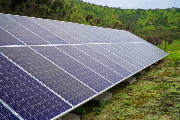 A close-up view of solar panels in a lush green forest.