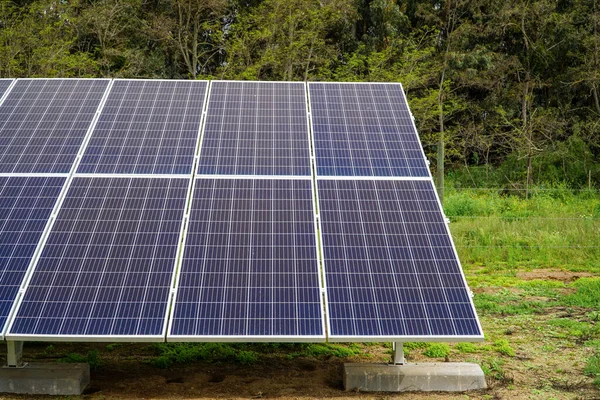 Front view of solar panels in a forest.