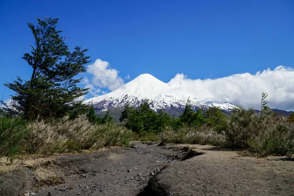 在智利南部的一个国家公园里 奥索诺火山从远足的小径上俯瞰而下的令人惊奇的景象 — 图库照片