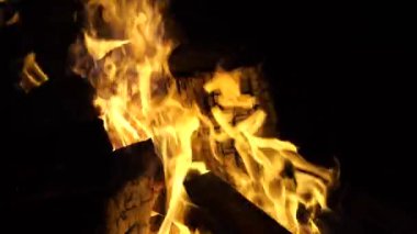 Çatırdayan bir kamp ateşine yakın çekim, yanan odunlar üzerinde dans eden alevler