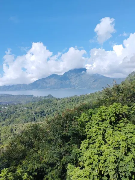 Isola Bali Maggio 2023 Foresta Verde Una Montagna Lontananza Con — Foto Stock