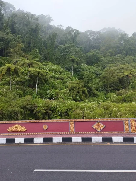 Isola Bali Maggio 2023 Strada Nella Foresta Pluviale Con Confine — Foto Stock