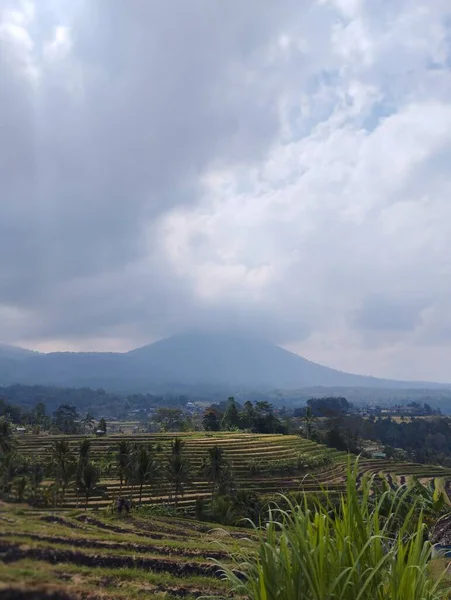 Jatiluwih June 2023 Rice Terraces Bali Indonesia Mountain Background — 图库照片