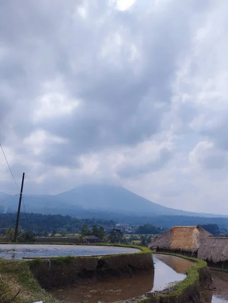 Jatiluwih Juni 2023 Risterrasser Bali Indonesien Med Vulkanen Bakgrunden — Stockfoto
