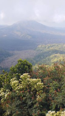 Kintamani, 27 Haziran 2023: Bali, Endonezya 'daki Batur Dağı manzarası. Batur Dağı Bali 'deki en yüksek dağdır..