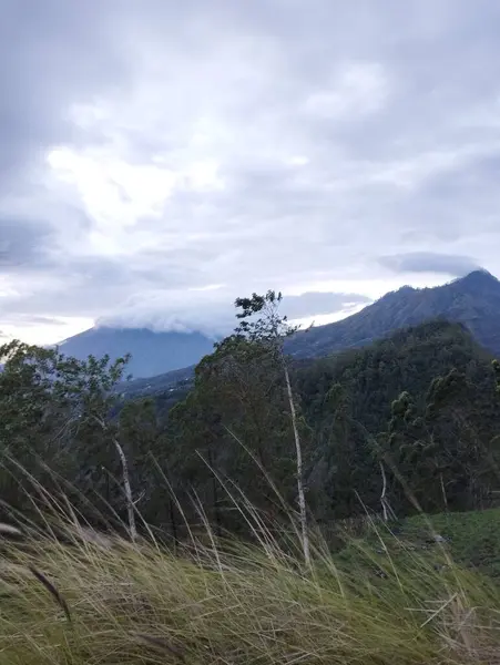 巴厘岛 2023年1月3日 印度尼西亚金塔曼尼高地一座山被毁的景观 — 图库照片