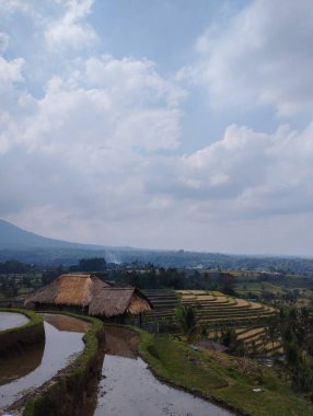 Bali Adası: güzel manzara. doğa arkaplanı