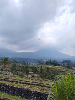 Bali Endonezya: Dağları ve dağları olan güzel bir manzara