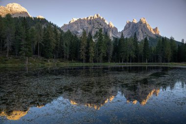 Lago d 'Antorno' da yansıyan ağaçlar, Dolomitler