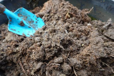 Bahçede ya da bitkilerde kullanılacak tavuk gübresi ve evde yetişecek bir kürek.