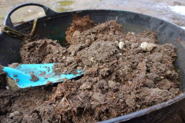 Bahçede ya da bitkilerde kullanılacak tavuk gübresi ve evde yetişecek bir kürek.