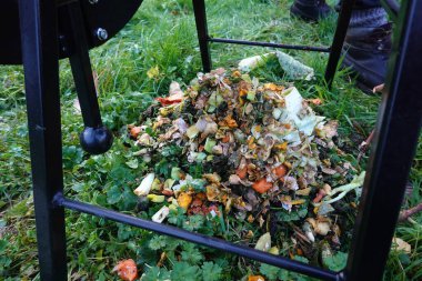 Ürün kalıntıları, sebze bahçesinde gübre öğütücü. Ezilmiş tavuk yemi.