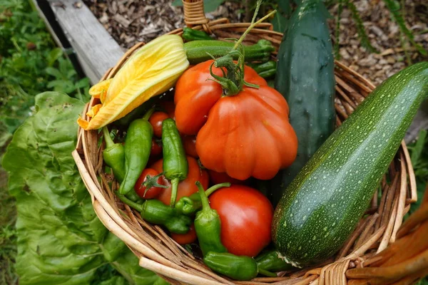Verduras Frescas Una Caja Madera Vista Superior —  Fotos de Stock