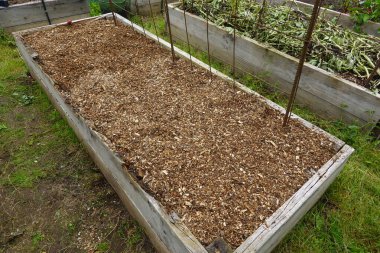 Bahçe bahçesinde sebze yetiştirmek için ahşap yatak yetiştirdim. işlenmek için odun kırıntıları ile samanlama