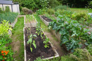 Hollanda 'daki bahçe