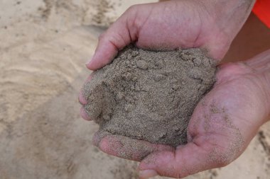 İnsanın elleri doğada bir kumun içinde.