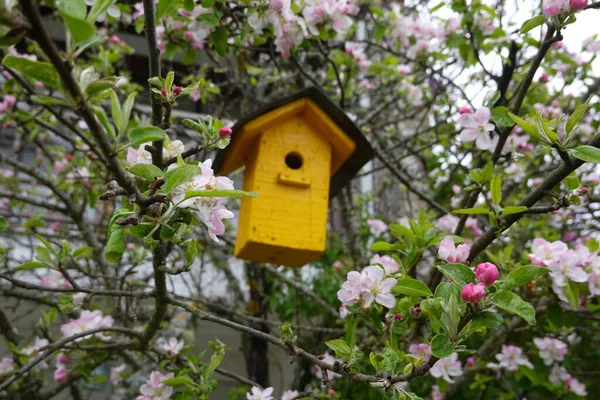 bird house in tree. Birdhouse in the garden to attract birds. yellow birdhouse in garden