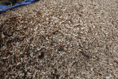 Bahçenin arka bahçesinde gübre olarak kullanılacak budanmış budama atığı. saman tarlaları ev bahçesinde