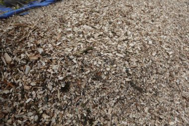 Bahçenin arka bahçesinde gübre olarak kullanılacak budanmış budama atığı. saman tarlaları ev bahçesinde