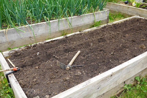 raised wooden bed prepared for sowing seeds. Backyard garden to grow your food with hoe and soil. Vegetable garden