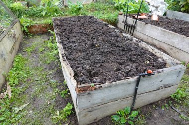 Tahta yatak sonbahar ekimi için hazırlandı. sebze bahçesi toprağı ekin ekmeye hazır..