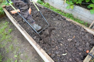 Sebze bahçesinde çalışmak için çift saplı yaba kullanan bir adam. Yetiştirilmeye hazır ahşap yatak..