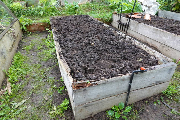 wooden bed prepared for autumn cultivation. vegetable garden soil ready for planting crops.
