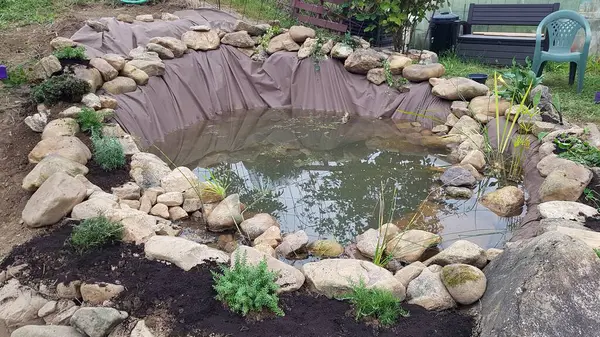 Pond in the garden. building a pond in the home garden. aquatic pond plants