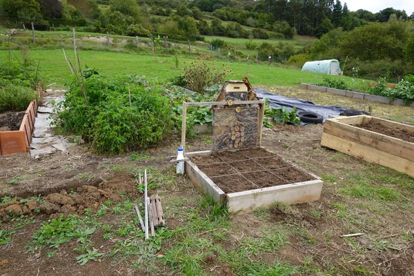 community gardens in the city with different crops. one square foot vegetable garden with insect hotel.