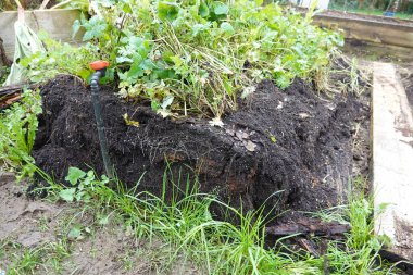 Çürük odunların altında kalmış eski tahta bir bank. Bahçedeki ahşap bankta