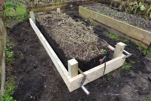 vegetable garden with raised wooden beds. arranging a wooden bed for cultivation.