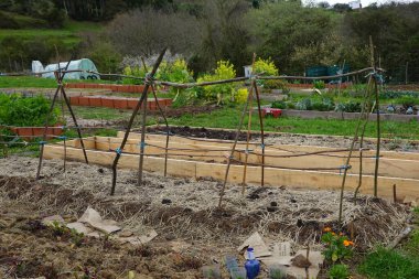 Sebze bahçesindeki ekinlere tırmanmak için direkleri olan bir yapı. Ekin yetiştirmek için yatak.