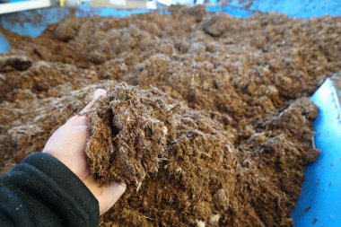 Tanınmayan bir bahçıvanın eli, modern tarım uygulamalarına konteynır ekimi için kuru turba yosunu koyuyor.