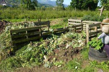 Paletlerden gübre yığını, kuş avcılarıyla gübreleme için ekin kalıntıları.