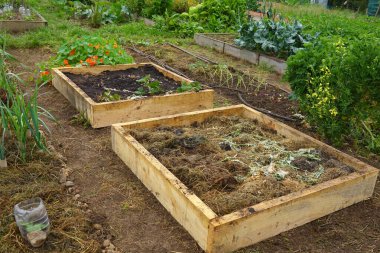 Yetiştirilmeye hazır ahşap yataklar. Bir metrekarelik sebze bahçesi.