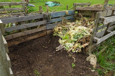 Gübre yığını sebze bahçesinde kullanılmaya hazır. Solucan atıkları ve diğer gübre kalıntıları.