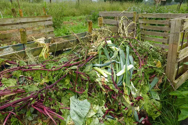 stock image compost pile with crop residues from the garden. compost made with pallets to compost plant and kitchen waste.