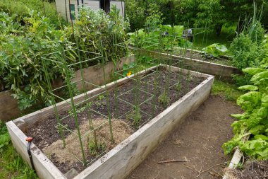 Domates ekimi için dikdörtgen metal yapı kazık saplamak zorunda kalmadan.