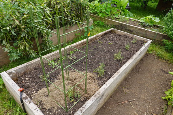 восхождение железная сетка для растений в огороде для сельскохозяйственных культур, таких как огурцы, тыквы или помидоры.