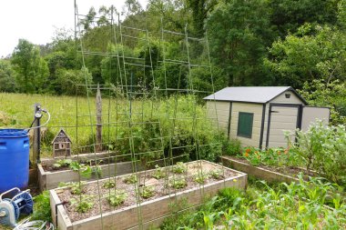 Arka bahçesinde yüksek sarmaşık yapısı, yükseltilmiş yataklar, bahçe kulübesi ve çevreleyen yeşillikler var..