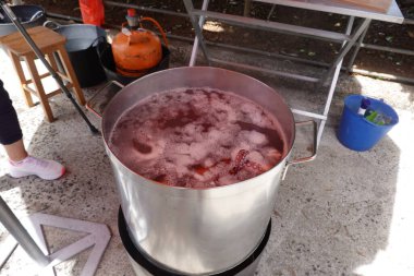 Dışarıdaki büyük metal bir tencerede taze ahtapot kaynıyor. Propan düzeneği ve pişirme ekipmanıyla birlikte..