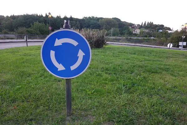 Ağaçların ve evlerin manzaralı arka planına sahip çimenli bir yol kenarındaki mavi kavşak trafik tabelası.