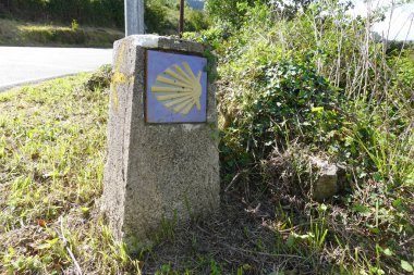 Camino de Santiago güzergahı boyunca taştan bir işaret. Mavi arka planda sarı deniz tarağı kabuğu sembolü var. İşaret kırsal bir yolun yanında, etrafını saran otlar ve sarmaşıklar sarmış..