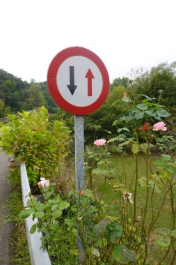 Yeşillik ve yeşilliklerle çevrili sakin bir kır yolunda çiçek açan pembe çiçeklerin yanında çift yönlü trafik tabelası..