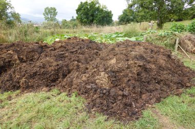 Yeşil bitkiler ve çimlerle çevrili bir çiftlik bahçesinde çürüyen gübre yığını. Gübre, sürdürülebilir tarım uygulamalarını teşvik etmek amacıyla doğal gübre olarak kullanılmak üzere hazırlanıyor..