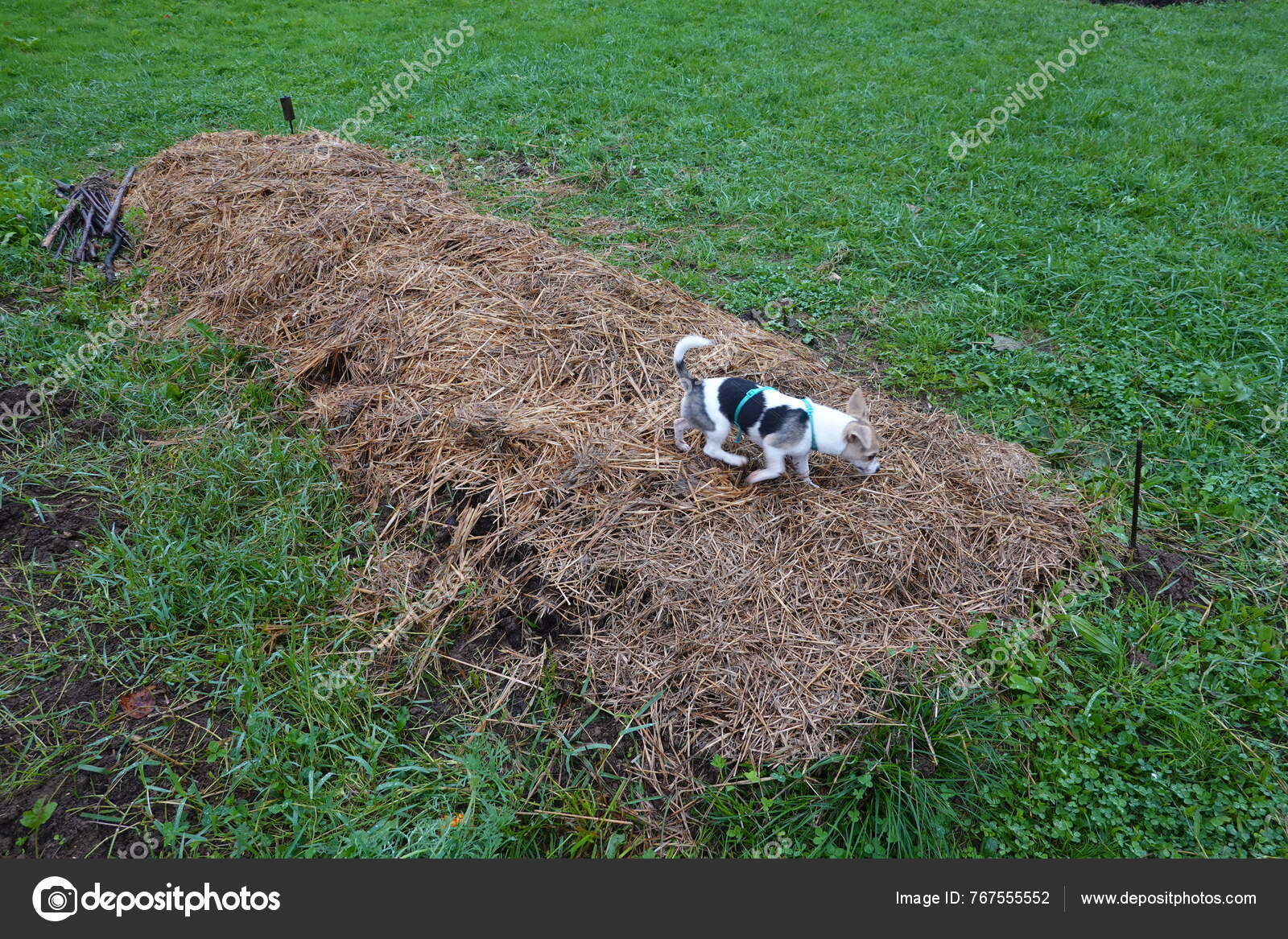 Imágenes de Mantillo de heno libres de derechos | DepositPhotos, image size:1600x1167